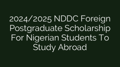 2024/2025 NDDC Foreign Postgraduate Scholarship For Nigerian Students To Study Abroad