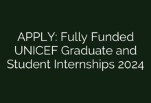 APPLY: Fully Funded UNICEF Graduate and Student Internships 2024