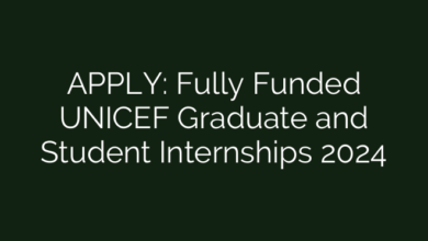 APPLY: Fully Funded UNICEF Graduate and Student Internships 2024
