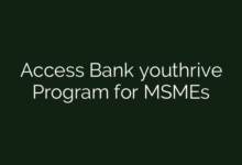 Access Bank youthrive Program for MSMEs