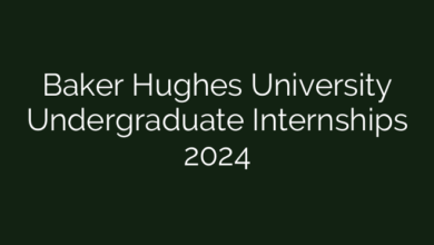 Baker Hughes University Undergraduate Internships 2024