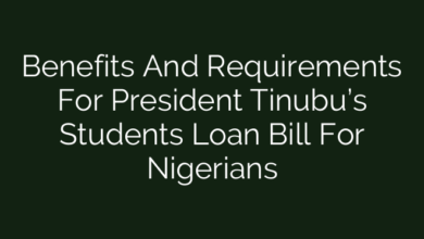Benefits And Requirements For President Tinubu’s Students Loan Bill For Nigerians