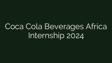 Coca Cola Beverages Africa Internship 2024