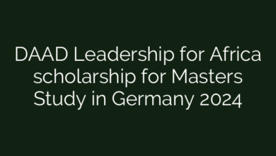 DAAD Leadership for Africa scholarship for Masters Study in Germany 2024