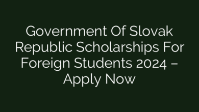 Government Of Slovak Republic Scholarships For Foreign Students 2024 – Apply Now