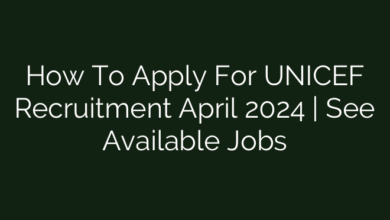 How To Apply For UNICEF Recruitment April 2024 | See Available Jobs