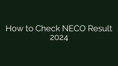 How to Check NECO Result 2024