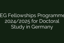 IEG Fellowships Programme 2024/2025 for Doctoral Study in Germany