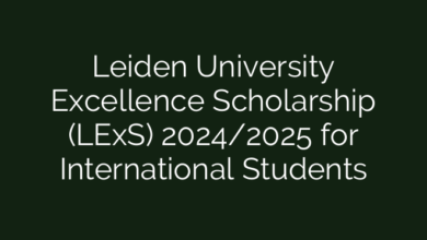 Leiden University Excellence Scholarship (LExS) 2024/2025 for International Students