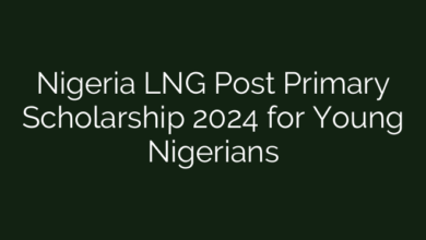 Nigeria LNG Post Primary Scholarship 2024 for Young Nigerians