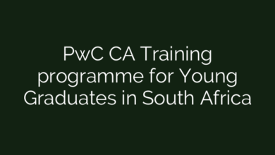 PwC CA Training programme for Young Graduates in South Africa