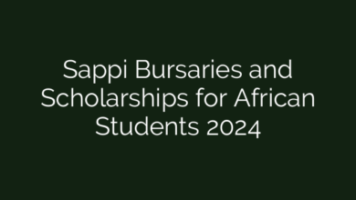 Sappi Bursaries and Scholarships for African Students 2024