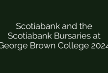 Scotiabank and the Scotiabank Bursaries at George Brown College 2024