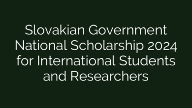Slovakian Government National Scholarship 2024 for International Students and Researchers