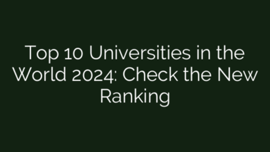 Top 10 Universities in the World 2024: Check the New Ranking