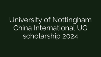 University of Nottingham China International UG scholarship 2024