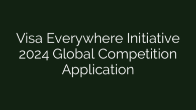 Visa Everywhere Initiative 2024 Global Competition Application