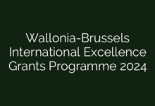 Wallonia-Brussels International Excellence Grants Programme 2024