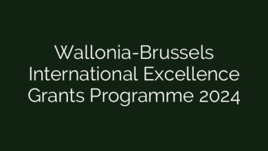 Wallonia-Brussels International Excellence Grants Programme 2024
