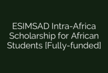 ESIMSAD Intra-Africa Scholarship for African Students [Fully-funded]