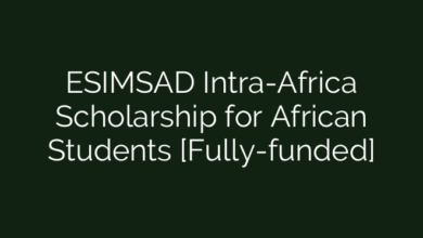 ESIMSAD Intra-Africa Scholarship for African Students [Fully-funded]