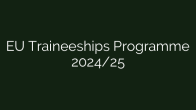 EU Traineeships Programme 2024/25