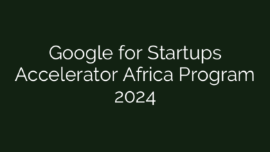 Google for Startups Accelerator Africa Program 2024