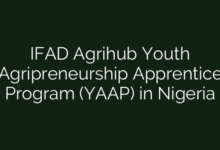IFAD Agrihub Youth Agripreneurship Apprentice Program (YAAP) in Nigeria