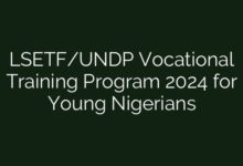 LSETF/UNDP Vocational Training Program 2024 for Young Nigerians