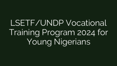 LSETF/UNDP Vocational Training Program 2024 for Young Nigerians