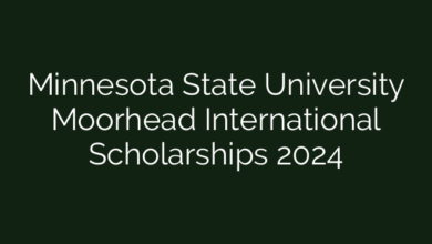 Minnesota State University Moorhead International Scholarships 2024