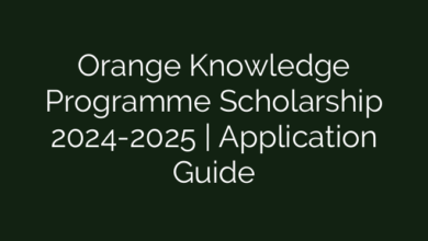 Orange Knowledge Programme Scholarship 2024-2025  | Application Guide