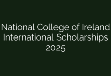 National College of Ireland International Scholarships 2025