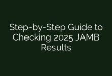 Step-by-Step Guide to Checking 2025 JAMB Results