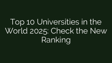 Top 10 Universities in the World 2025: Check the New Ranking
