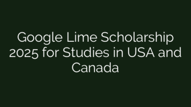 Google Lime Scholarship 2025 for Studies in USA and Canada
