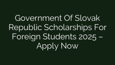 Government Of Slovak Republic Scholarships For Foreign Students 2025 – Apply Now