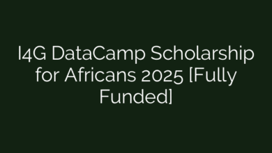 I4G DataCamp Scholarship for Africans 2025 [Fully Funded]