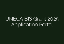 UNECA BIS Grant 2025 Application Portal