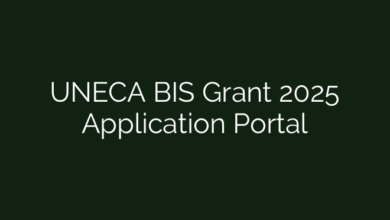 UNECA BIS Grant 2025 Application Portal