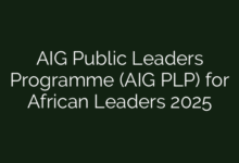 AIG Public Leaders Programme (AIG PLP) for African Leaders 2025