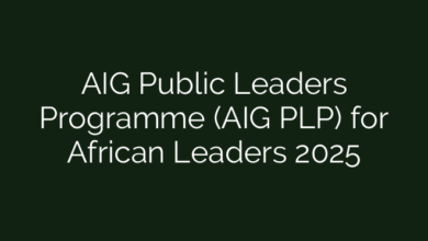 AIG Public Leaders Programme (AIG PLP) for African Leaders 2025