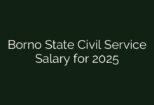 Borno State Civil Service Salary for 2025