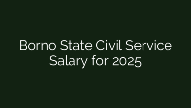 Borno State Civil Service Salary for 2025