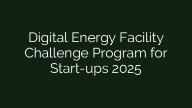Digital Energy Facility Challenge Program for Start-ups 2025
