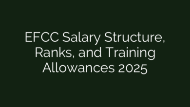 EFCC Salary Structure, Ranks, and Training Allowances 2025