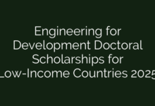 Engineering for Development Doctoral Scholarships for Low-Income Countries 2025
