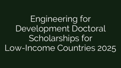 Engineering for Development Doctoral Scholarships for Low-Income Countries 2025