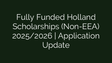 Fully Funded Holland Scholarships (Non-EEA) 2025/2026 | Application Update