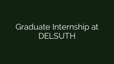 Graduate Internship at DELSUTH